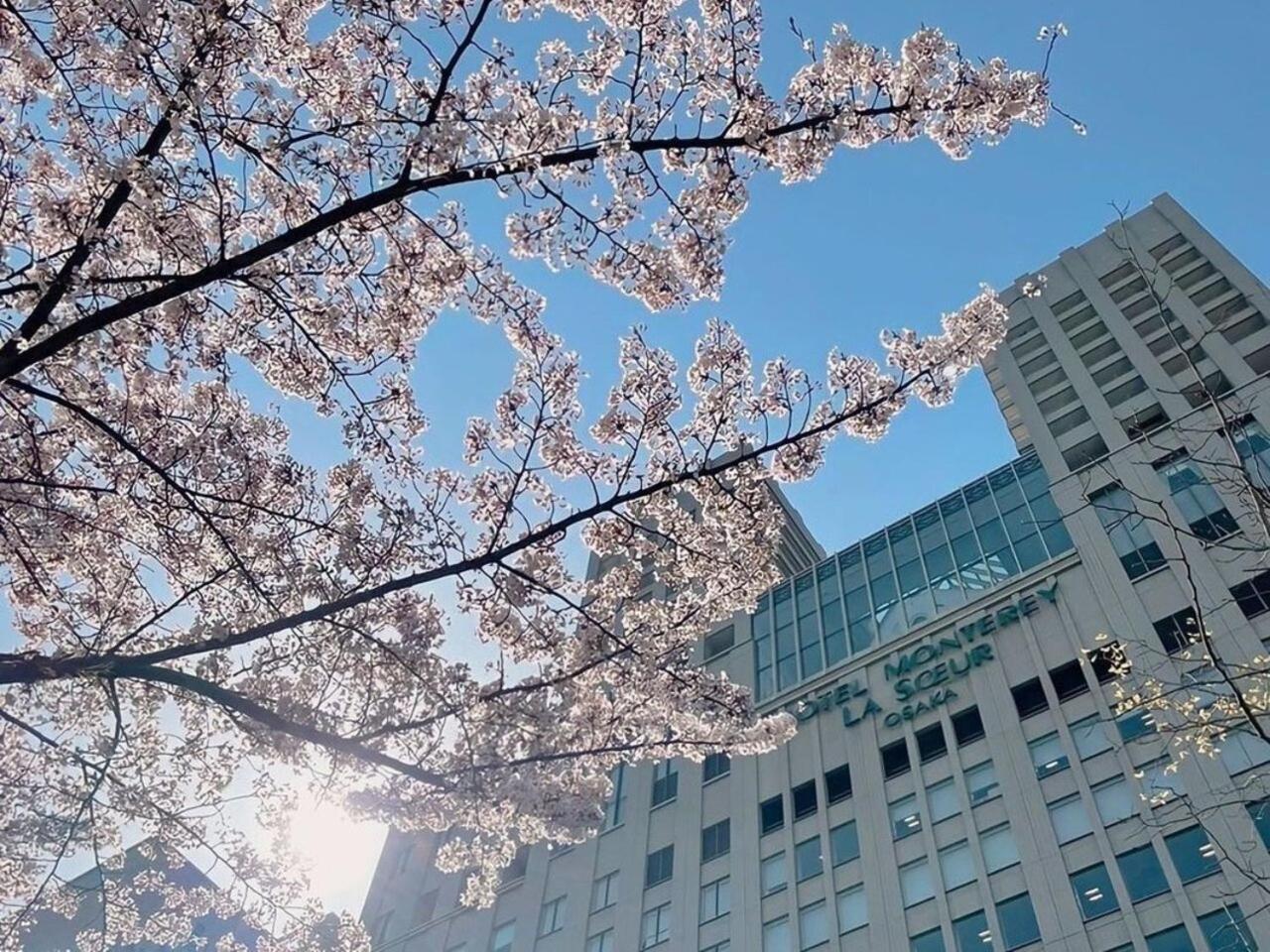 Hotel Monterey La Soeur Osaka Buitenkant foto